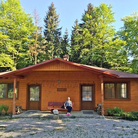 Villa Dom Lidia Szklarska Poręba Exterior foto