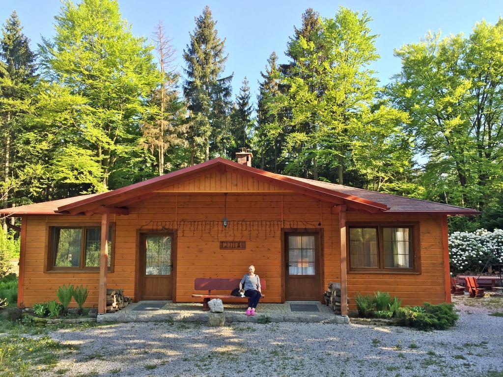 Villa Dom Lidia Szklarska Poręba Exterior foto